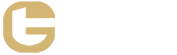 Thomas Gunia_DigiMedia_Wordpress_Webgestaltung_Logo